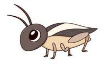 蟋蟀教学反思通用7篇