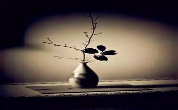 禅文化心得体会通用7篇