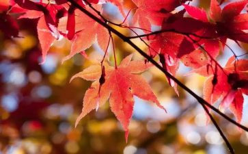 10月安全工作计划7篇