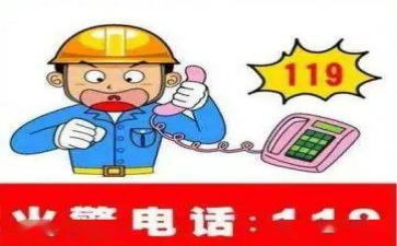 119全国消防日活动总结通用5篇