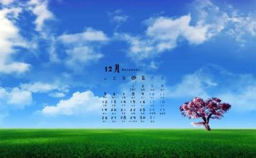 12月总结及工作计划5篇