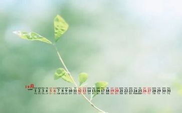 12月9的演讲稿5篇