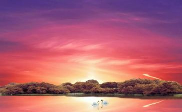 幼儿园11月活动总结5篇