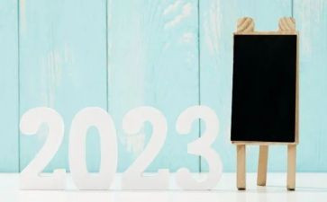 初中教师2023年度总结模板8篇