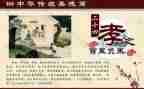 2024孝心少年事迹最新8篇
