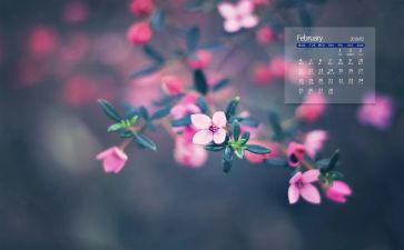 2月份的工作总结参考7篇