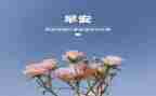 3月活动总结优质8篇