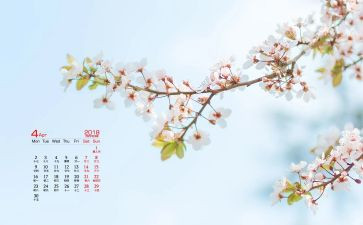 宣传部4月总结5篇