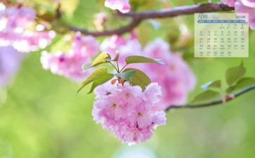 幼师4月份工作总结7篇