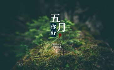 5月月总结7篇