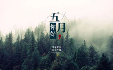 5月份活动总结6篇