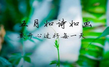 5月的工作计划优秀7篇