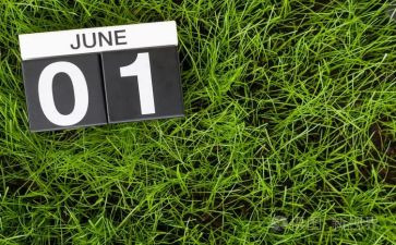 幼儿园大大班6月份工作计划5篇