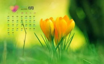 中班6月份班级工作计划7篇