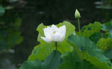 6月活动总结精选6篇
