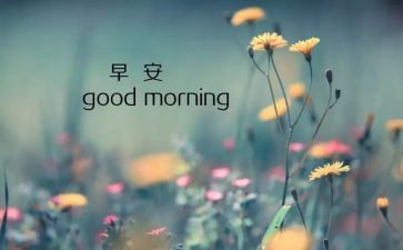 8月的工作计划优秀6篇