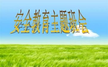 911事故调查报告模板5篇