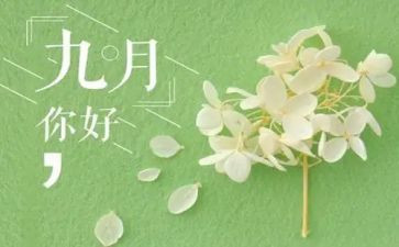 9月安全活动方案7篇