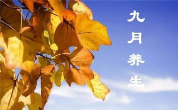 幼儿园班级9月工作总结6篇