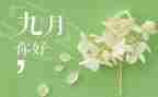 9月安全活动方案7篇