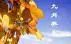 幼儿园班级9月工作总结6篇