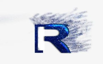 关于r星的调查报告优质8篇