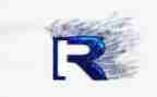 关于r星的调查报告优质8篇