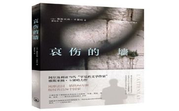 因为懂所以哀的读后感5篇