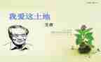 艾青《桥》的读后感精选5篇
