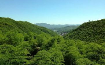 游安吉作文优秀5篇