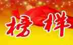 观榜样5心得体会6篇