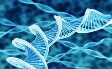 2024年高中生物教师个人总结工作总结8篇