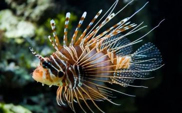 生物组工作计划8篇