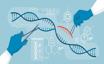 2024年高中生物教师个人总结工作总结模板5篇