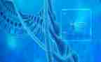 学生物工作总结最新7篇