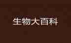 生物组工作计划优秀6篇