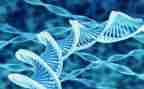 生物教育实习心得5篇