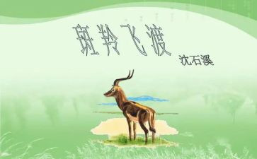 斑羚飞渡羊的读后感8篇