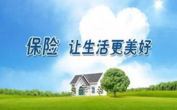 保险客服工作总结精选8篇