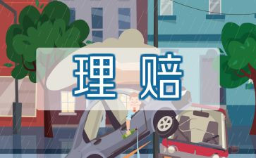 2024年保险公司年终总结模板8篇