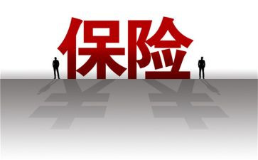2024年保险个人总结与计划7篇