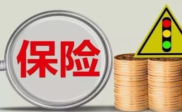 2024年保险个人总结报告5篇