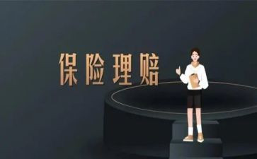 2024年保险公司年终总结通用6篇
