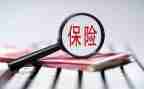 保险员年度工作总结7篇