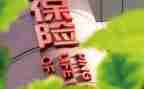 2024年保险公司年终总结优秀6篇