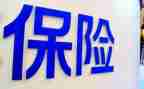 2024年保险公司年终工作总结最新5篇