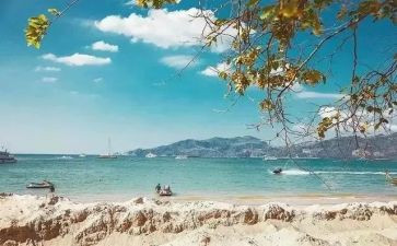 把握作文500字作文参考7篇