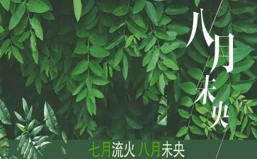 八月份工作总结6篇