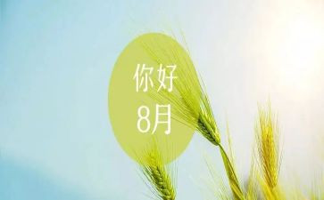 八月活动方案8篇