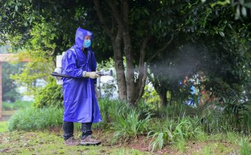 局病媒生物防制工作总结5篇